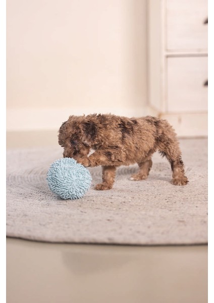 Sptrns Beeztees Yavru Köpek Oyuncağı, Top, Peluş, Mavi, 10CM fiyatları