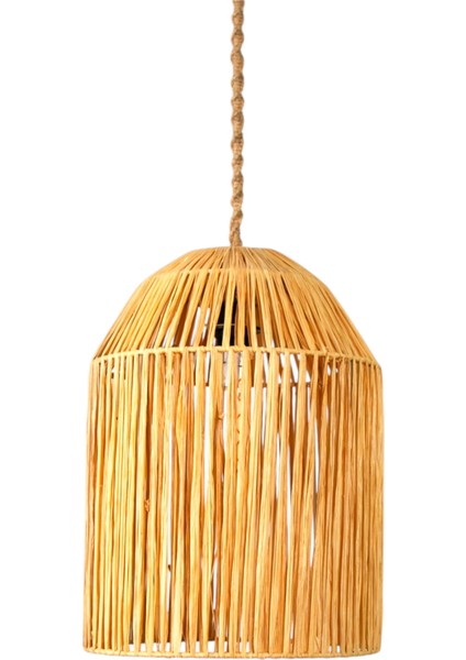 Coolle Rafya Avize fiyatları