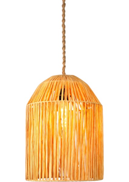 Coolle Rafya Avize modelleri