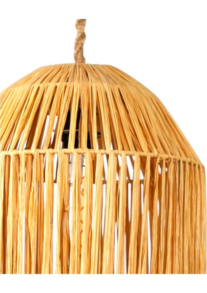 Coolle Rafya Avize fırsatları