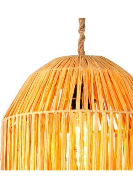 Coolle Rafya Avize indirimleri