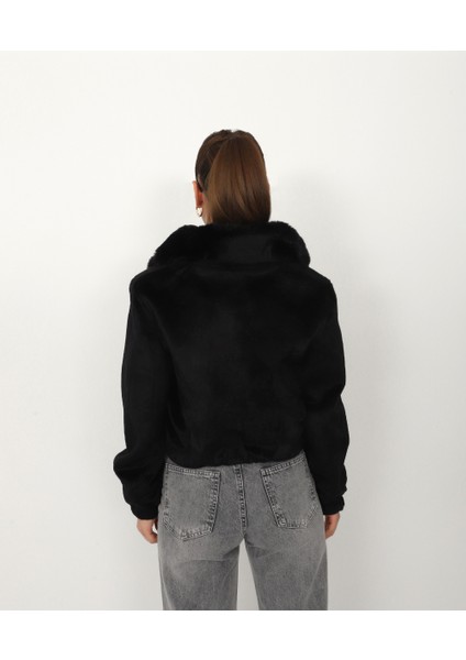 Kadın Mont modelleri