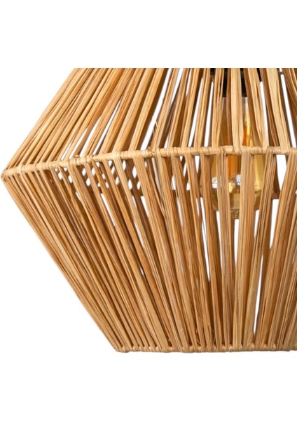 Rafya Ekvator Rafya Sarma indirimleri