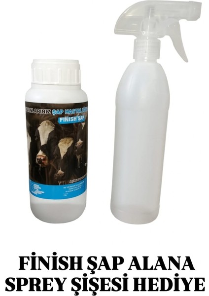 Fınısh Şap (Şapa Son) 600 ml