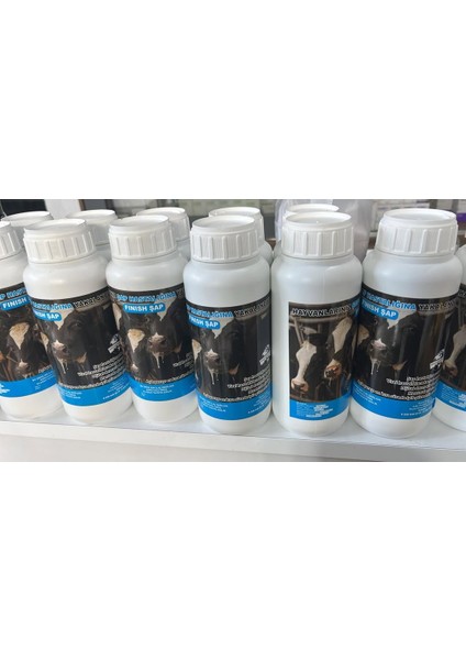 Fınısh Şap (Şapa Son) 600 ml fiyatları