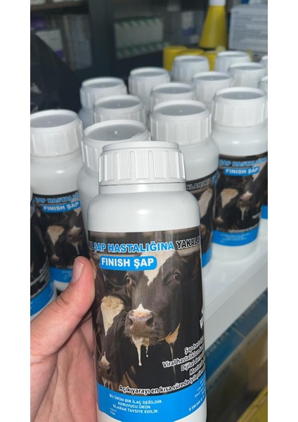 Fınısh Şap (Şapa Son) 600 ml modelleri