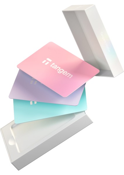 Wallet Kripto Para Cüzdanı (Nfc-Soğuk Cüzdan)(3'lü Kart) Blush Sky modelleri