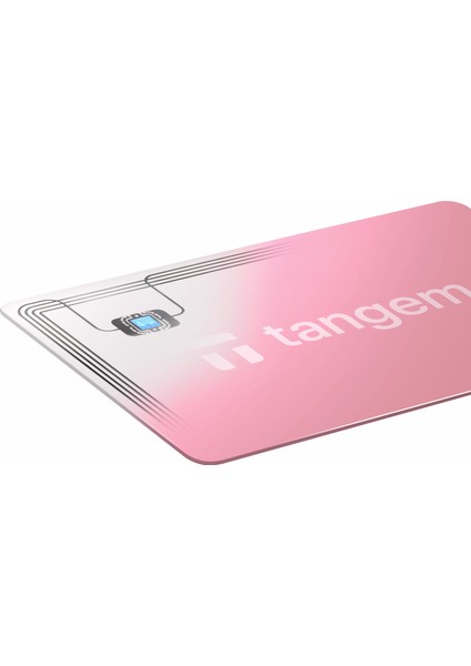 Wallet Kripto Para Cüzdanı (Nfc-Soğuk Cüzdan)(3'lü Kart) Blush Sky