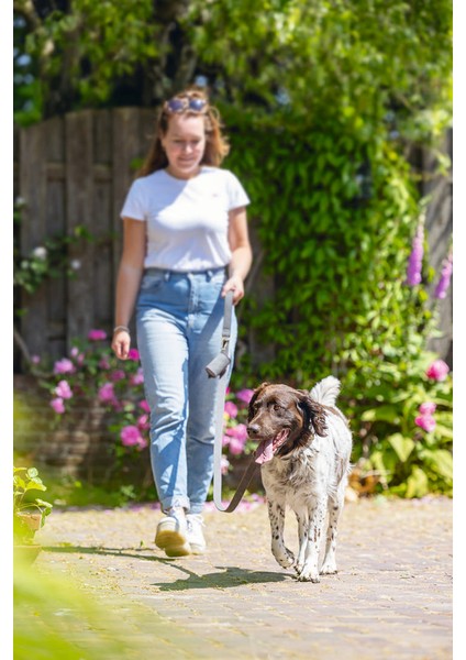 Sptrns Beeztees Köpek Dışkı Toplama Poşeti Taşıma Çantası, Gri, 8X5X5CM indirimleri