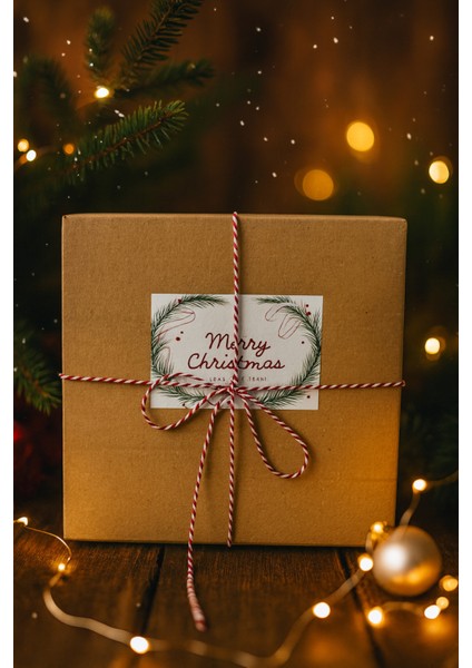 14 Parça Noel Temalı Dekoratif Hediye Kutusu Yılbaşı Süsleri Set fiyatları