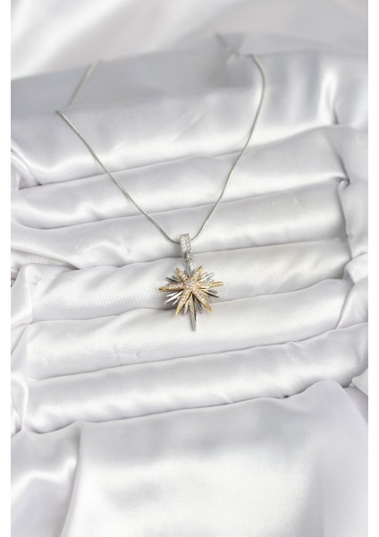 316L Çelik Zincir Gümüş Renk Kutup Yıldızı Model Kadın Kolye - Lisinya fiyatları