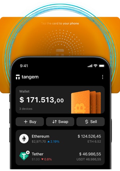 Wallet Kripto Para Cüzdanı (Nfc-Soğuk Cüzdan)(3'lü Kart) Bitcoin fiyatları