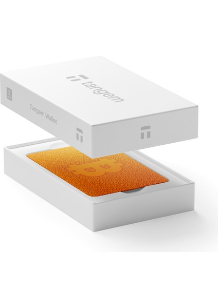 Wallet Kripto Para Cüzdanı (Nfc-Soğuk Cüzdan)(3'lü Kart) Bitcoin modelleri