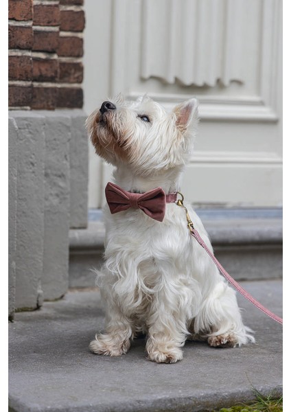 Mtxdpn Beeztees Dbl Köpek Papyonu, Kadife, Pembe, 9cm modelleri