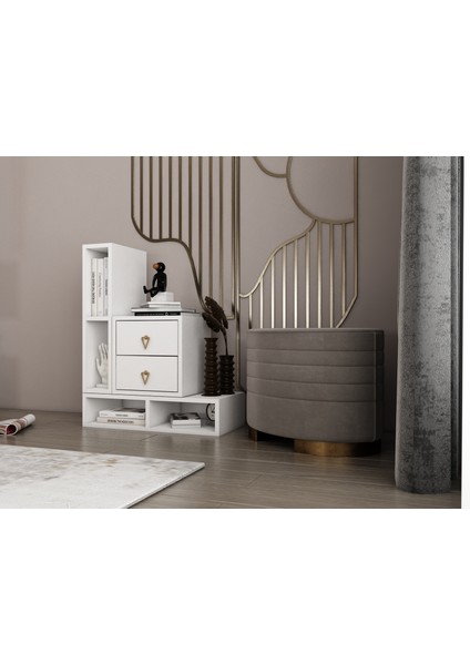 Modüler Depolama Çekmeceli Ofis Sehpası Kitaplıklı Yan Ünite Alt Raflı Konsol BEYAZ-PNR-OFS-S-1001 modelleri