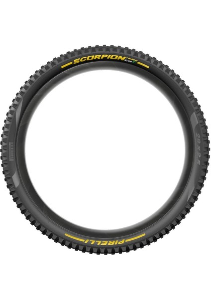 Scorpion Race Dh T fırsatları