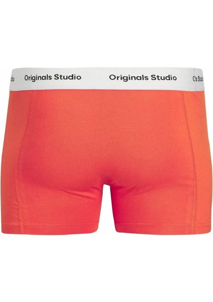 Jack Jones Vesterbro Solıd 3 Lü Paket Erkek Boxer 12272945 fiyatları