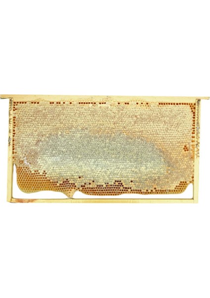 Hizan Petek Balı - 1,5 kg fiyatları