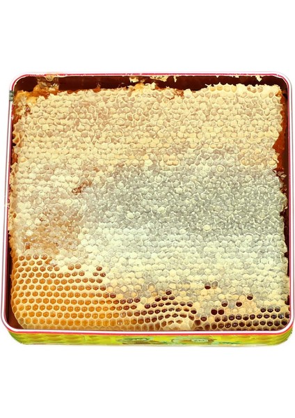 Hizan Petek Balı - 1,5 kg fırsatları