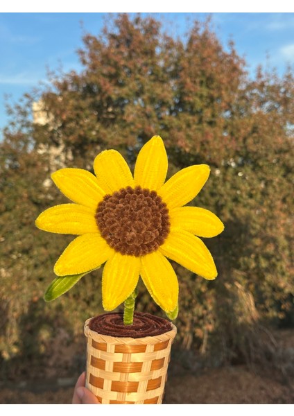 El Yapımı Ayçiçeği