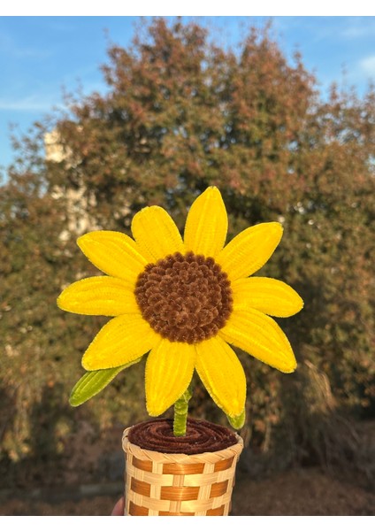 El Yapımı Ayçiçeği fiyatları