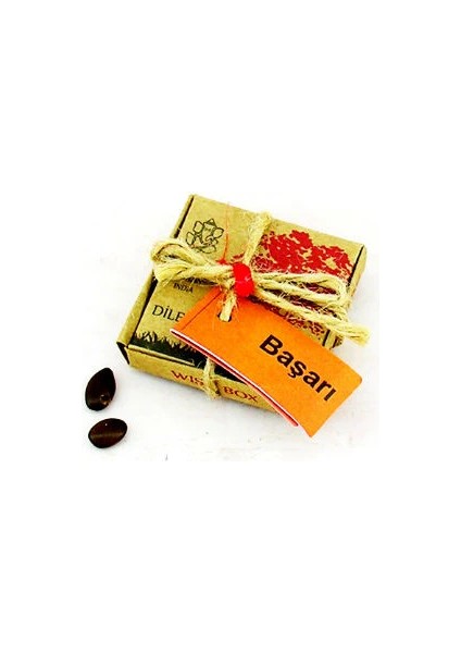 Dilek Tohumları - Başarı