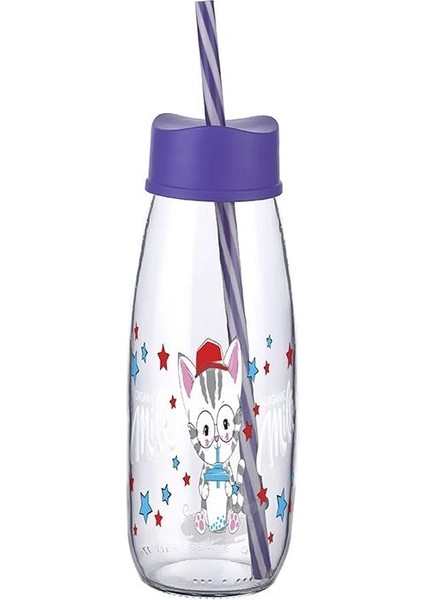 Pipetli Su ve Süt Şişesi Cam 250 ml modelleri