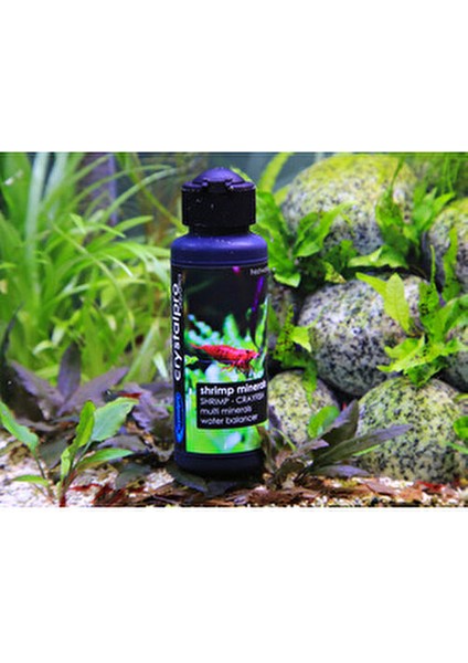 Shrimp Minerals 125ml Karides ve Kerevitler İçin Su Dengeleyici Mineraller modelleri