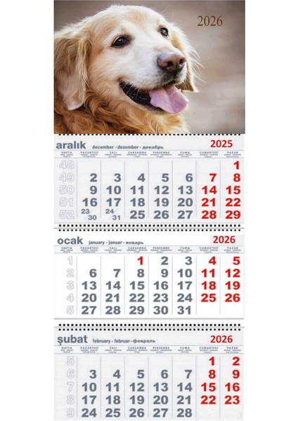 2026 Yılı Gemici Takvimi Duvar Tipi Askılı Sevimli Köpek