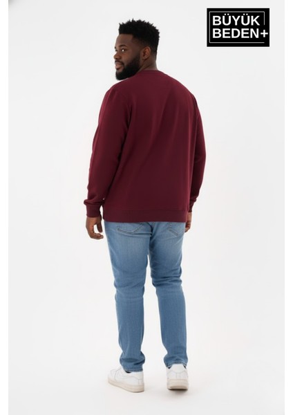 Erkek Büyük Beden Bisiklet Yaka Kollar ve Etek Ribanalı Ince Sweatshirt SPR26BSW956 modelleri