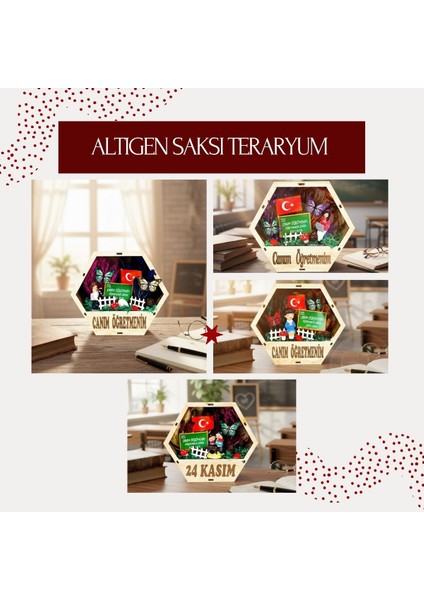 Altıgen Saksı Teraryum - Öğretmenler Günü Hediyesi