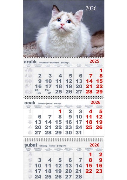 2026 Yılı Gemici Takvimi Duvar Tipi Askılı Beyaz Kedi