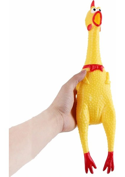 köpekler ıçin modelleri