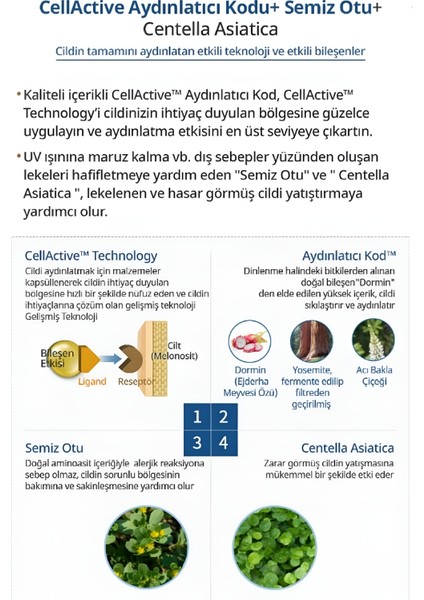 Absolute Serum Güneş Koruyucu SPF50+| Yaşlanma Karşıtı & Ton Eşitleyici Uv Koruma