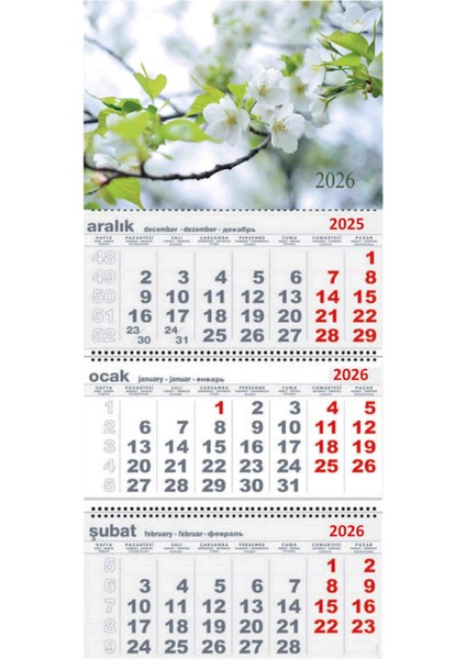 2026 Yılı Gemici Takvimi Duvar Tipi Askılı Zambak