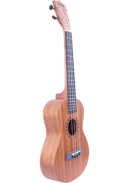 Concert Ukulele fırsatları