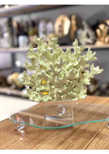 Dekoratif Kristal Kaideli Mercan Biblo