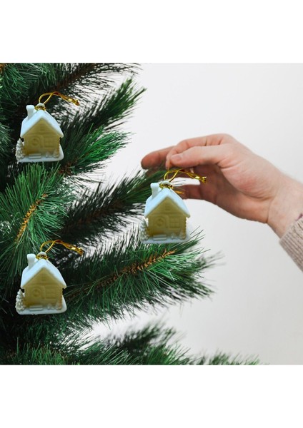 Renkli Noel Ev Çam Ağacı Süsü Seti, 3'lü, Şık ve Neşeli Dekorasyon.