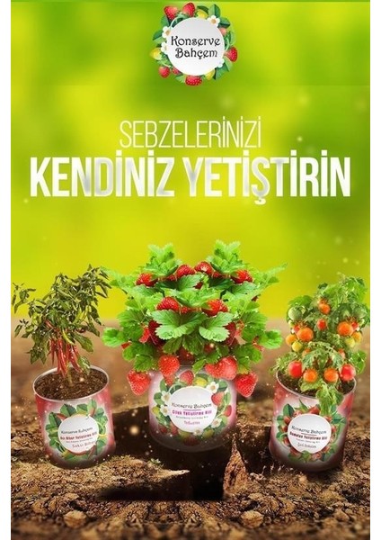 Konserve Bahçem Evde Konservede Fındık Turp Yetiştirme Kiti modelleri