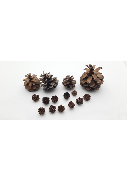 Boyalı Kozalak Dekoratif Süs, Pembe, Yılbaşı, Noel Ağacı Için, 34CM