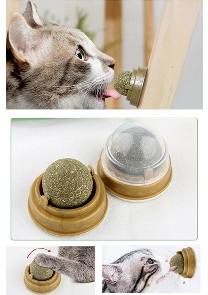 Duvara Yapışan Dönen Kedi Nanesi Cat Oyun Topu Doğal Kedi Oyuncağı modelleri