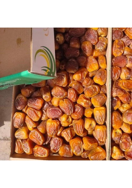 bağdat Hurama 2025 Yeni Mahsül 1.kalite 5kg fiyatları