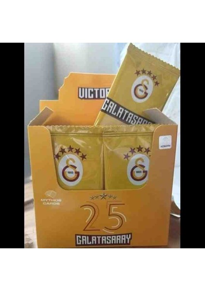 Galatasaray Futbol Kartı
