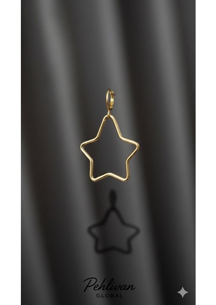 Yıldız Model Gold Renk Çelik Küpe fiyatları