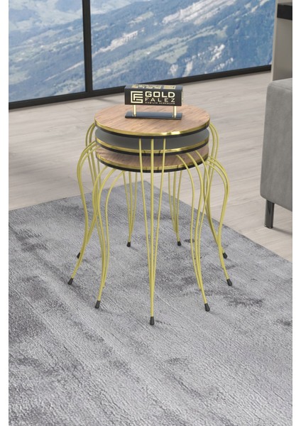 Zigon Sehpa Lükens Çift Gold Antrasit Ceviz fiyatları