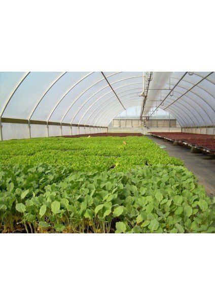 Vatanplastik 36 Aylık Sera Naylonu 350 Mikron Uv-Ab-Eva Katkılı modelleri