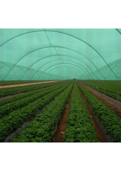 Vatanplastik 36 Aylık Sera Naylonu 350 Mikron Uv-Ab-Eva Katkılı fırsatları