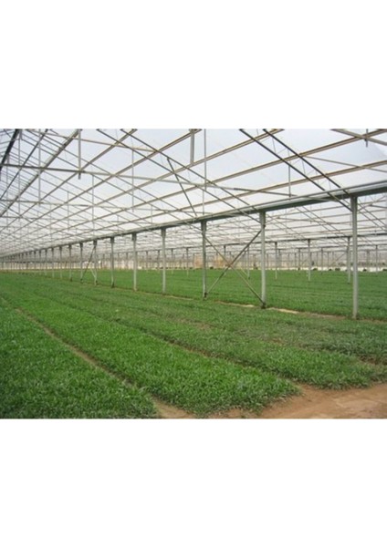 Vatanplastik 36 Aylık Sera Naylonu 350 Mikron Uv-Ab-Eva Katkılı indirimleri