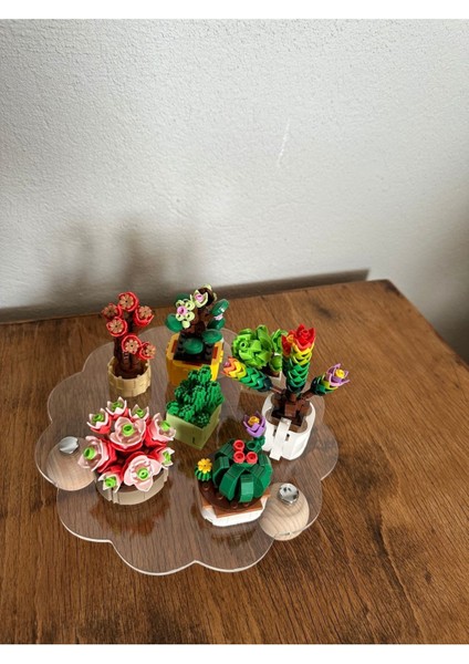 Ahşap Top Ayaklı Şeffaf Organizer, Düzenleyici ve Pleksi Stant, Şık Tasarım fiyatları