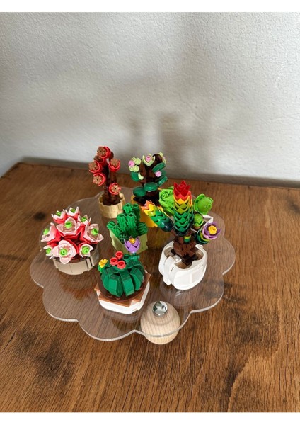 Ahşap Top Ayaklı Şeffaf Organizer, Düzenleyici ve Pleksi Stant, Şık Tasarım modelleri